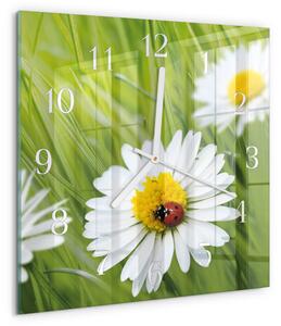 Skleněné hodiny Sedmikrásky zskb-30x30-00081314