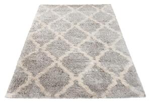 Kusový koberec shaggy Ismet šedý 120x170cm