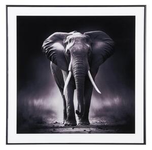 Obraz 50x50 cm Elephant – PT LIVING