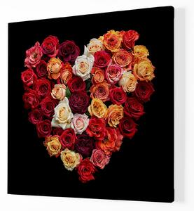 Obraz na plátně - Barevné růže Srdce FeelHappy.cz Velikost obrazu: 40 x 40 cm