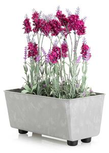 PLASTOVÝ KVĚTINÁČ SALVIA 28,5X17 CM IMITACE BETONU ŠEDÁ