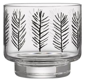 Muurla Svícen Spruce