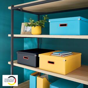 Žlutý kartonový úložný box s víkem 48x37x20 cm Click&Store – Leitz