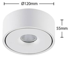 Arcchio - Ranka LED Stropní Lampa 11,8W White - Lampemesteren