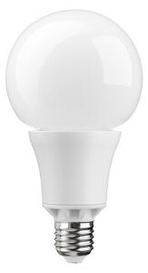 LEDON LED žárovka G95 Globe 10W E27 2700K 230V