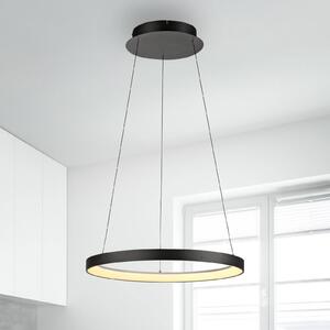 Paul Neuhaus LED závěsné svítidlo Hoop, černé, Ø 57 cm, stmívatelné, stmívatelný, Černá, Obývací pokoj / jídelna, kov, Moderní