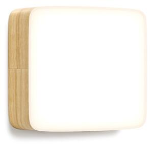 Cube L, Provedení dub, Barva světla 2700 K - teplá bílá Tunto