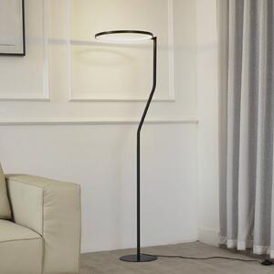 Stojací lampa Lindby LED Rayon, černá, kov, výška 150,3 cm