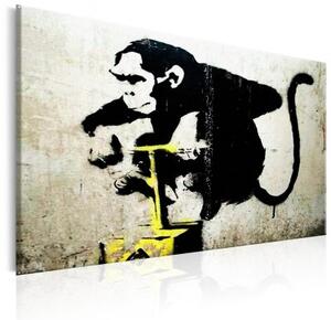 Obraz - Monkey Detonator by Banksy