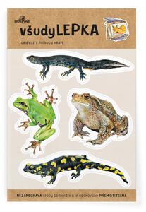 Všudylepka vel. 1 -041 - obojživelníci