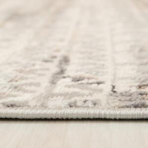 Kusový koberec Frederik krémově šedý 240x330cm