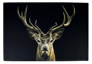 Černá podlahová rohožka jelen Black Deer - 75*50*1cm