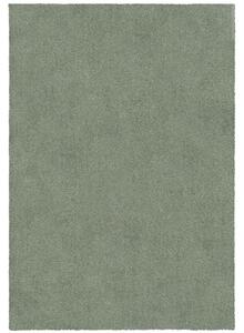 Flair Rugs koberce Kusový koberec Snuggle Sage ROZMĚR: 200x290