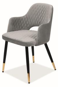Židle Franco samet černá/zlatá kostra/šedá Bluvel 14, , barva: černá