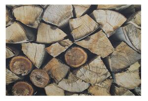 Rohožka s motivem dřeva Fireplace wood - 75*50*1cm