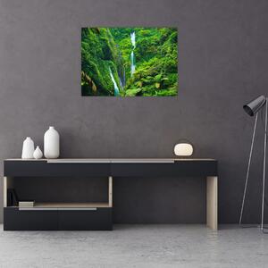 Obraz - Vodopády Madakaripura, východní Java, Indonésie (70x50 cm)