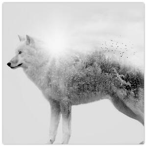 Obraz - Arktický vlk zrcadlící divokou krajinu, černobílý (30x30 cm)
