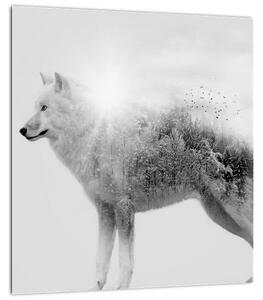 Obraz - Arktický vlk zrcadlící divokou krajinu, černobílý (30x30 cm)