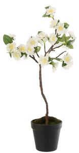 Dekorace umělý bílý kvetoucí stromek - 24-24*52 cm