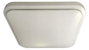Stropní LED svítidlo Greg, 1x LED 19w, 4000k, w