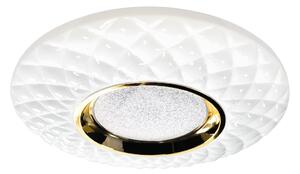 Stropní LED svítidlo Tokyo, 1x LED 24w, 3000-6000k, w/g, s ovladačem