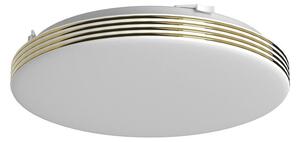 Stropní LED svítidlo Bever, 1x LED 10w, 4000k, g