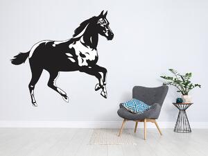 Klusající kůň 129 x 120 cm