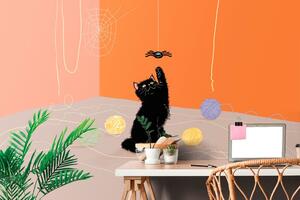 Samolepící tapeta hravá kočka s kloubky