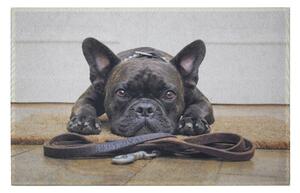 Podlahová rohožka s buldočkem French Bulldog - 75*50*1cm