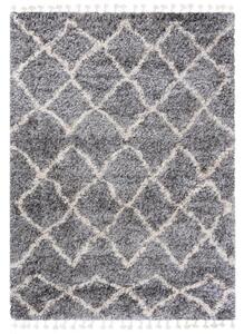 Kusový koberec shaggy Axaya šedý 200x300cm