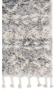 Kusový koberec shaggy Apache světle šedý 200x300cm