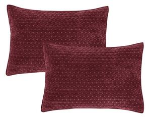 Povlaky na polštáře v sadě 2 ks 50x75 cm Attica Velvet – Bianca