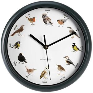 Nástěnné hodiny Birds, bílá/zelená BT