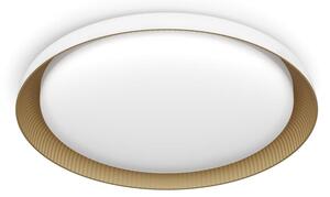 Philips - LED Stmívatelné stropní svítidlo PEBBLO LED/10W/230V 4000K bílá