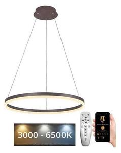 Brilagi - LED Stmívatelný lustr na lanku CIRCLE LED/42W/230V 3000-6500K hnědá+DO
