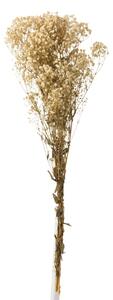 Svazek přírodní sušené trávy Gypsophila - 10*5*84 cm