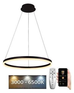 Brilagi - LED Stmívatelný lustr na lanku CIRCLE LED/42W/230V 3000-6500K + DO