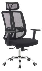 Ergonomická kancelářská židle APEX - černá síťovina / nosnost 150 kg