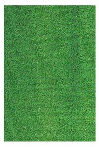 Spoltex Travní kusový koberec Little Grass | zelená Typ: 200x300 cm