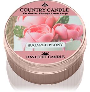 Country Candle Sugared Peony čajová svíčka 42 g