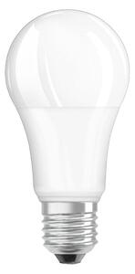 Matná LED žárovka E27 13 W teplá bílá