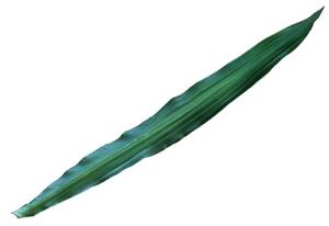 Obří umělý list zelený EVA, 90cm, 12ks