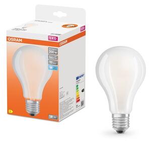 Matná LED žárovka E27 24 W CLASSIC A, studená bílá