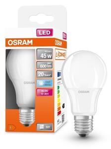 LED klasická LED žárovka E27 6,5 W STAR, studená bílá
