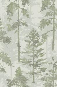 Šedo-zelená vliesová tapeta na zeď, les, stromy, 121422, New Eden, Graham&Brown Premium
