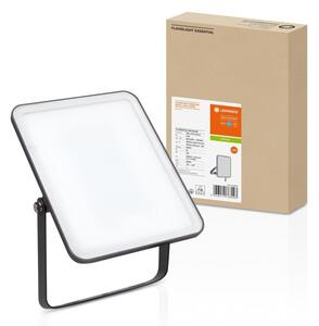 LED reflektor černý 30 W 6500 K IP65 ESSENTIAL, studená bílá