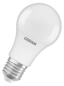 Matná LED žárovka E27 8.5 W CLASSIC A, studená bílá