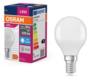Matná LED žárovka E14 4.9 W CLASSIC A, studená denní bílá