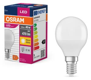 Matná LED žárovka E14 5.5 W CLASSIC P, teplá bílá
