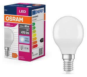 Matná LED žárovka E14 4.9 W CLASSIC P, studená bílá
